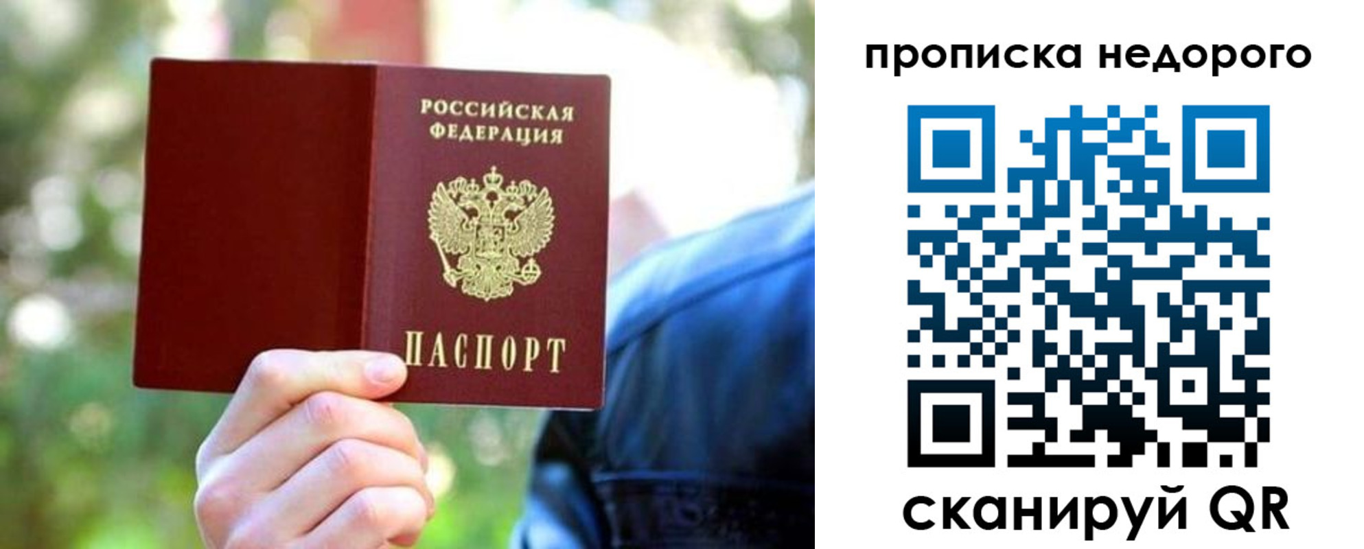 прописка ребенка в Зеленоградске